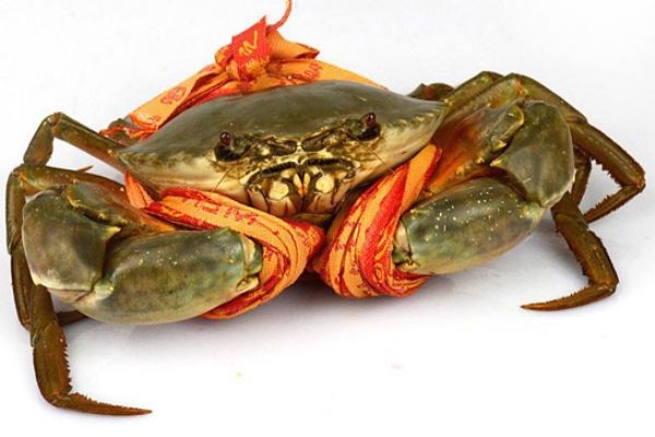 三門青蟹什么時候上市 三門青蟹的特點