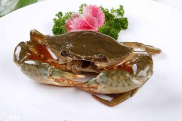 三門青蟹的營養(yǎng)價(jià)值 三門青蟹和越南青蟹的區(qū)別