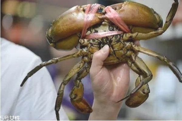 三門青蟹的營養(yǎng)價(jià)值 三門青蟹和越南青蟹的區(qū)別