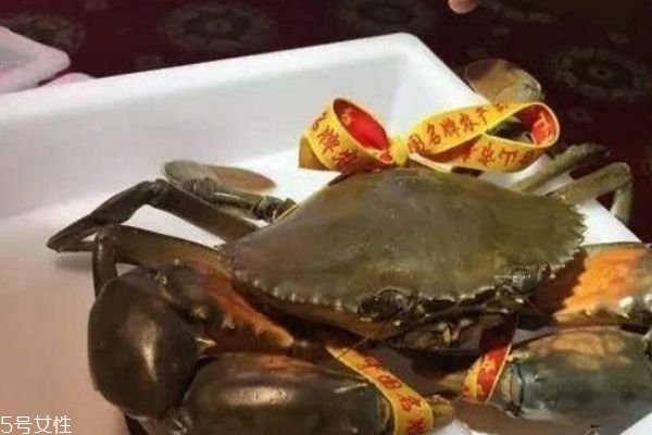 三門青蟹什么時候上市 三門青蟹的特點