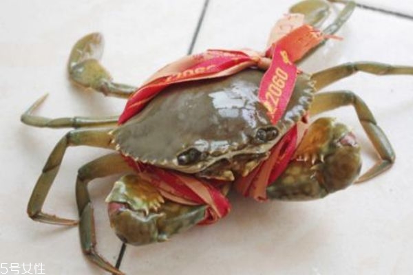 三門青蟹什么時候上市 三門青蟹的特點