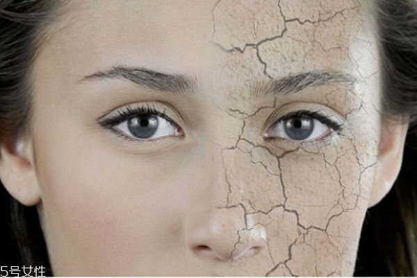 干性皮膚用什么護(hù)膚品 補水口碑最好的護(hù)膚品推薦