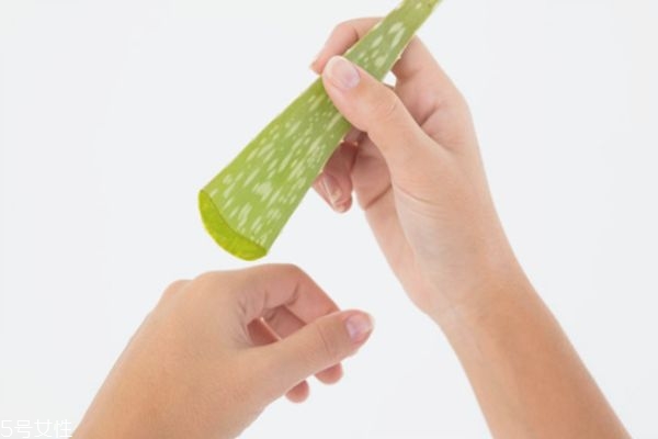 蘆薈擦臉要洗嗎 蘆薈擦臉的注意事項 蘆薈擦臉要洗嗎 蘆薈擦臉的注意事項