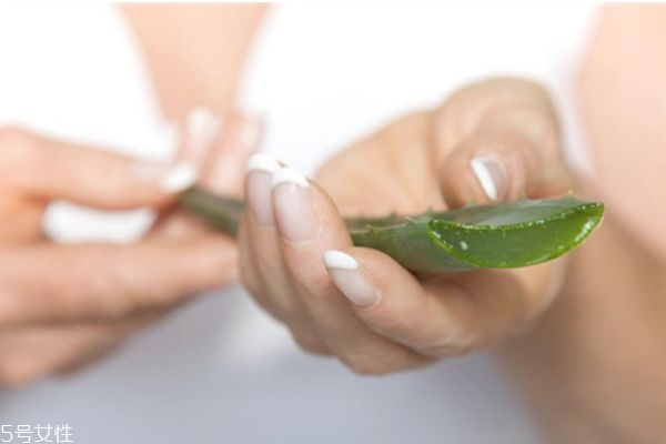 蘆薈擦臉要洗嗎 蘆薈擦臉的注意事項 蘆薈擦臉要洗嗎 蘆薈擦臉的注意事項