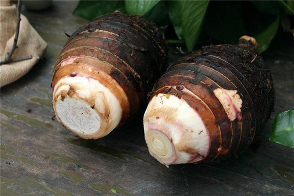 芋頭去皮后怎么保存 注意溫度和濕度 芋頭去皮后怎么保存 注意溫度和濕度