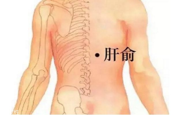 中醫(yī)教你按摩穴位形成養(yǎng)肝護(hù)肝的好習(xí)慣 中醫(yī)教你按摩穴位形成養(yǎng)肝護(hù)肝的好習(xí)慣