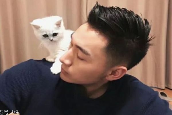 臉胖的男生適合什么發(fā)型 適合男生的發(fā)型 臉胖的男生適合什么發(fā)型 適合男生的發(fā)型