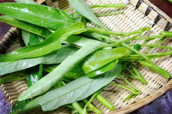 空心菜和木耳能一起吃嗎 營(yíng)養(yǎng)價(jià)值很高 空心菜和木耳能一起吃嗎 營(yíng)養(yǎng)價(jià)值很高