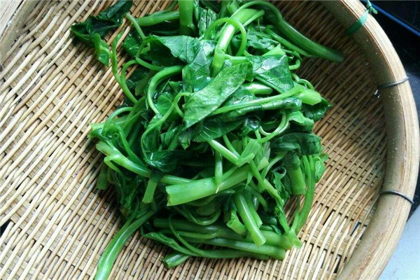 空心菜和木耳能一起吃嗎 營(yíng)養(yǎng)價(jià)值很高 空心菜和木耳能一起吃嗎 營(yíng)養(yǎng)價(jià)值很高