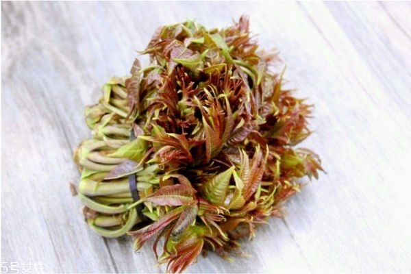 香椿可以直接炒嗎 香椿價(jià)格
