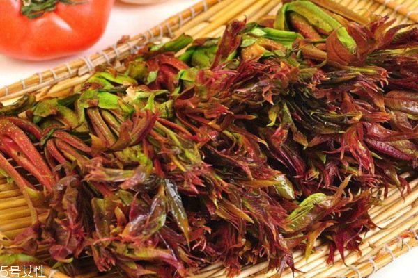 香椿可以直接炒嗎 香椿價(jià)格