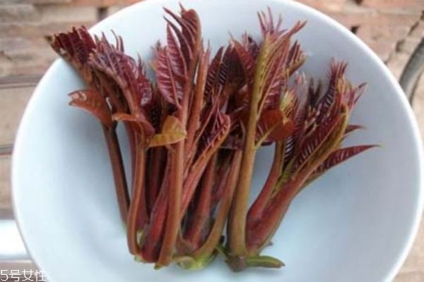 香椿的功效和作用 香椿的營養(yǎng)價(jià)值