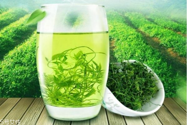 喝了絞股藍胃不舒服怎么辦 喝絞股藍需注意