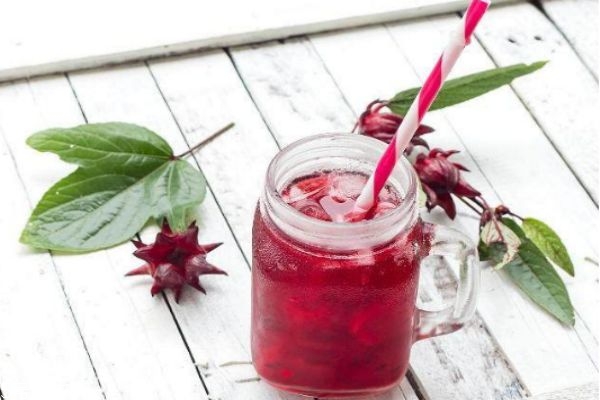 洛神花是什么花 洛神花其實(shí)不是花 洛神花是什么花 洛神花其實(shí)不是花