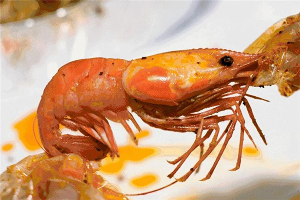 大頭蝦多少錢一斤 大頭蝦市場(chǎng)價(jià)格