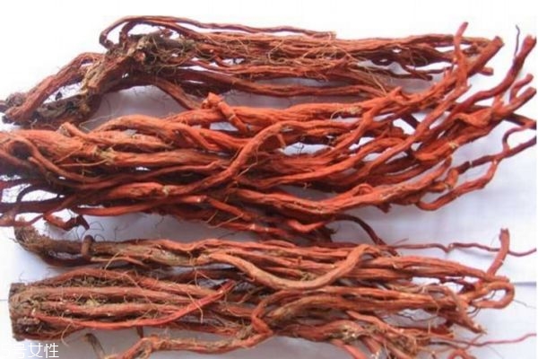 丹參的副作用 丹參的注意事項(xiàng) 丹參的副作用 丹參的注意事項(xiàng)