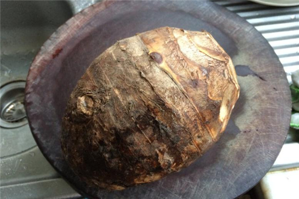 荔浦芋頭的功效與作用 增強免疫力 荔浦芋頭的功效與作用 增強免疫力