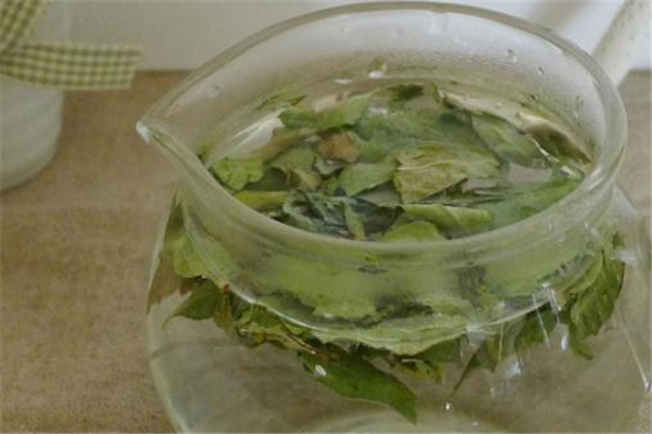 羅布麻茶能長期喝嗎 注意劑量 羅布麻茶能長期喝嗎 注意劑量