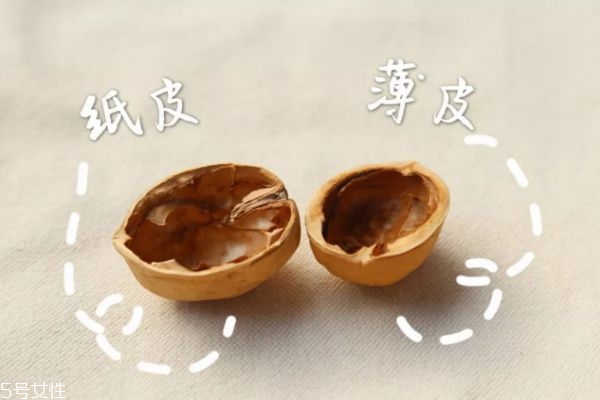 薄皮核桃價格多少錢一斤 薄皮核桃的功效與作用 薄皮核桃價格多少錢一斤 薄皮核桃的功效與作用