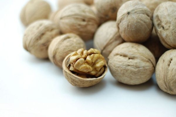 核桃吃多了有什么害處 核桃怎么吃 核桃吃多了有什么害處 核桃怎么吃