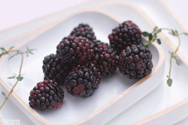 桑葚上有蟲子怎么清洗 為什么有的桑葚里會有蟲子 桑葚上有蟲子怎么清洗 為什么有的桑葚里會有蟲子