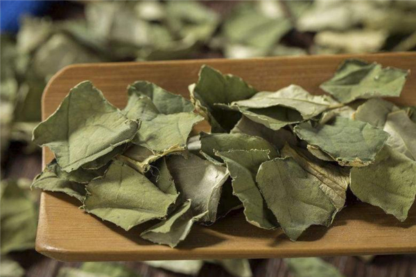 荷葉茶減肥會反彈嗎 健康減肥法 荷葉茶減肥會反彈嗎 健康減肥法