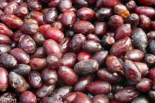 椰棗要洗嗎 椰棗怎么洗干凈 椰棗要洗嗎 椰棗怎么洗干凈