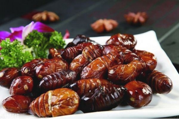 孕婦能吃蠶蛹嗎 孕婦吃蠶蛹的好處 孕婦能吃蠶蛹嗎 孕婦吃蠶蛹的好處