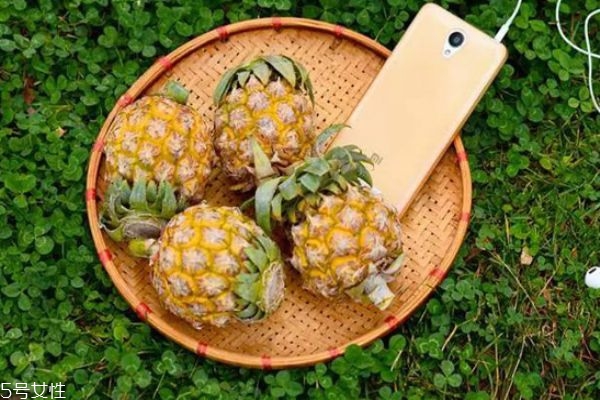 泰國(guó)小菠蘿多少錢 泰國(guó)小菠蘿功效與作用