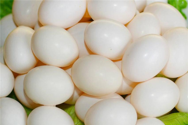 鴿子蛋吃了會(huì)上火嗎 避開(kāi)熱性食物