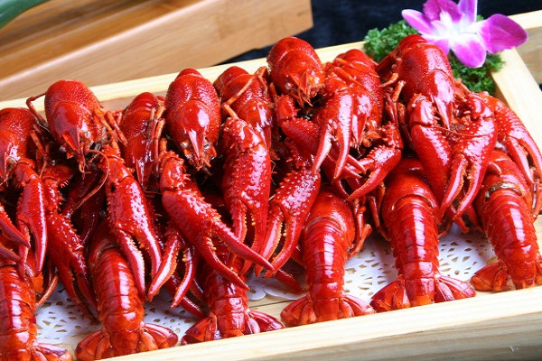 小龍蝦怎么養(yǎng)殖 小龍蝦做法 小龍蝦怎么養(yǎng)殖 小龍蝦做法