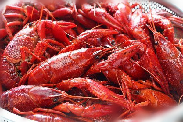 小龍蝦怎么養(yǎng)殖 小龍蝦做法 小龍蝦怎么養(yǎng)殖 小龍蝦做法