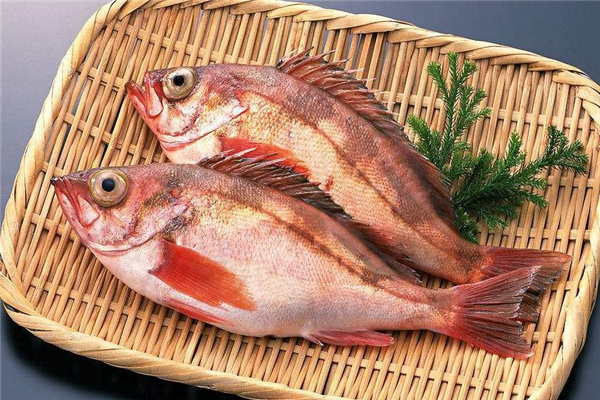 加吉魚的做法 加吉魚怎么做好吃 加吉魚的做法 加吉魚怎么做好吃