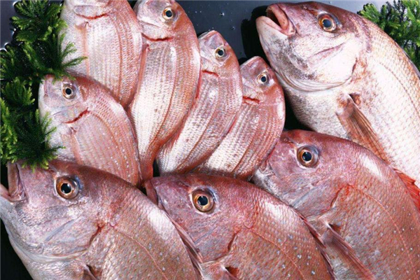 加吉魚的做法 加吉魚怎么做好吃 加吉魚的做法 加吉魚怎么做好吃