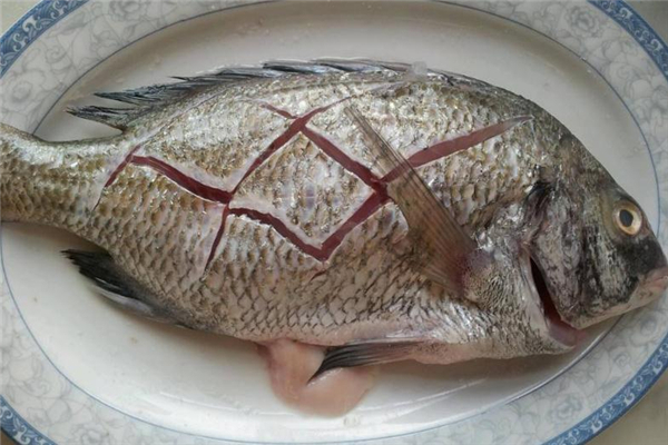 孕婦能吃加吉魚嗎 富含膠原蛋白 孕婦能吃加吉魚嗎 富含膠原蛋白