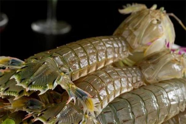 琵琶蝦蒸多長(zhǎng)時(shí)間 蒸琵琶蝦做法 琵琶蝦蒸多長(zhǎng)時(shí)間 蒸琵琶蝦做法