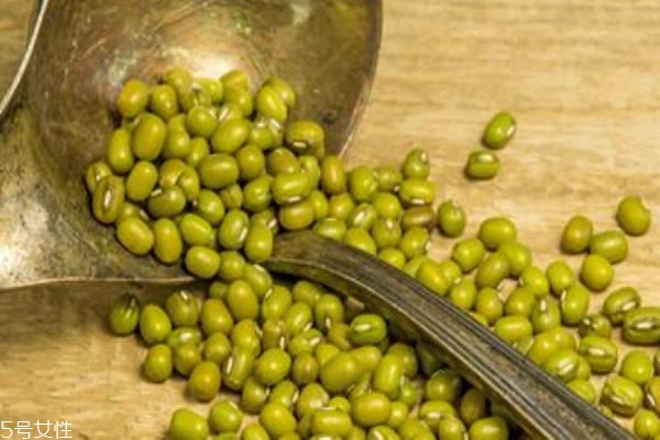 綠豆放久了還能吃嗎 綠豆長(zhǎng)蟲了還能吃嗎 綠豆放久了還能吃嗎 綠豆長(zhǎng)蟲了還能吃嗎