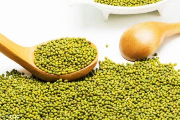 綠豆放久了還能吃嗎 綠豆長(zhǎng)蟲了還能吃嗎 綠豆放久了還能吃嗎 綠豆長(zhǎng)蟲了還能吃嗎