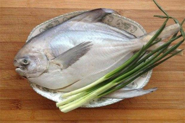 鯧鳊魚的做法大全 營養(yǎng)口感兼?zhèn)? alt=