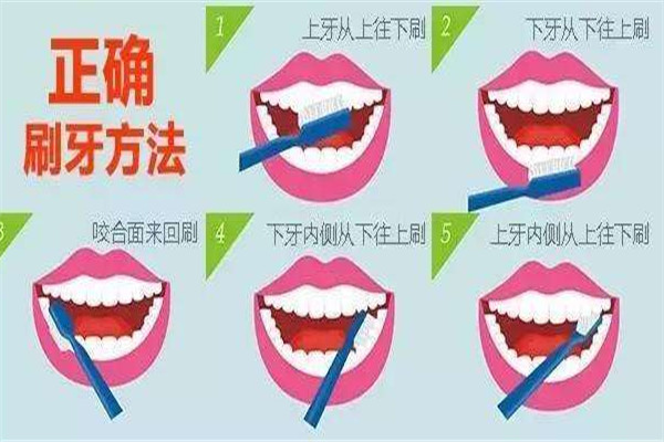 睡前不刷牙的危害是什么 刷牙的重要性 睡前不刷牙的危害是什么 刷牙的重要性