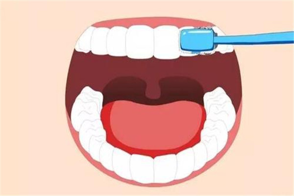 睡前不刷牙的危害是什么 刷牙的重要性 睡前不刷牙的危害是什么 刷牙的重要性