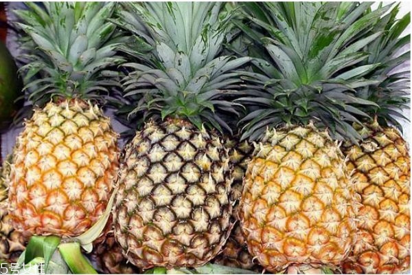 菠蘿真的可以減肥嗎 吃菠蘿注意事項