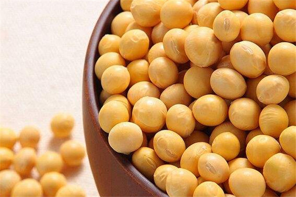 大豆可以泡多久 大豆怎么處理 大豆可以泡多久 大豆怎么處理
