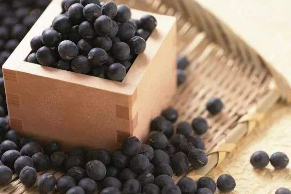 黑豆可以治白頭發(fā)嗎 治白頭發(fā)方法 黑豆可以治白頭發(fā)嗎 治白頭發(fā)方法