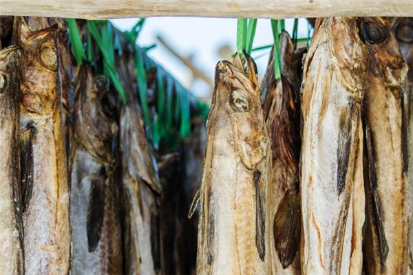 明太魚(yú)是什么魚(yú) 明太魚(yú)是海魚(yú)嗎