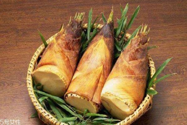 嫩筍子怎么做好吃 嫩筍的做法步驟 嫩筍子怎么做好吃 嫩筍的做法步驟