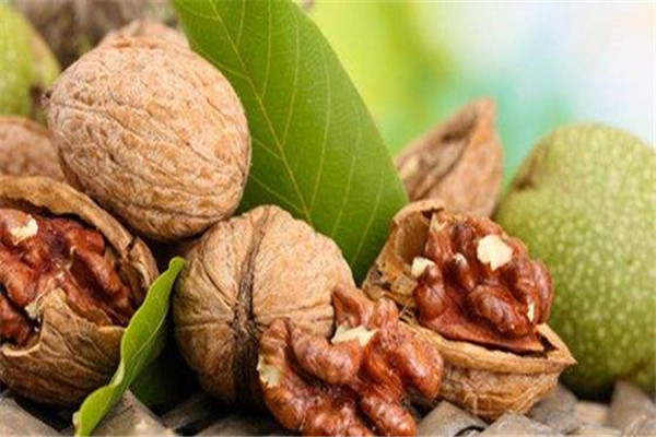 吃核桃可以防止脫發(fā)嗎 核桃怎么吃好 吃核桃可以防止脫發(fā)嗎 核桃怎么吃好