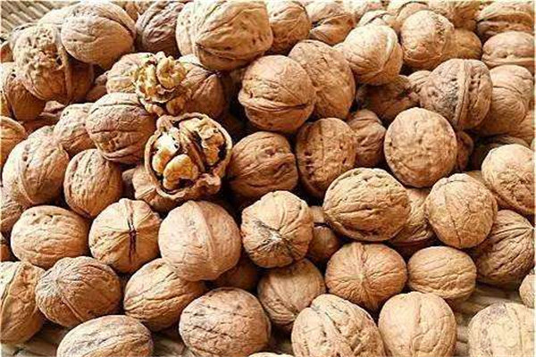 吃核桃可以防止脫發(fā)嗎 核桃怎么吃好 吃核桃可以防止脫發(fā)嗎 核桃怎么吃好