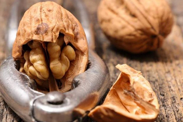 吃核桃可以防止脫發(fā)嗎 核桃怎么吃好 吃核桃可以防止脫發(fā)嗎 核桃怎么吃好