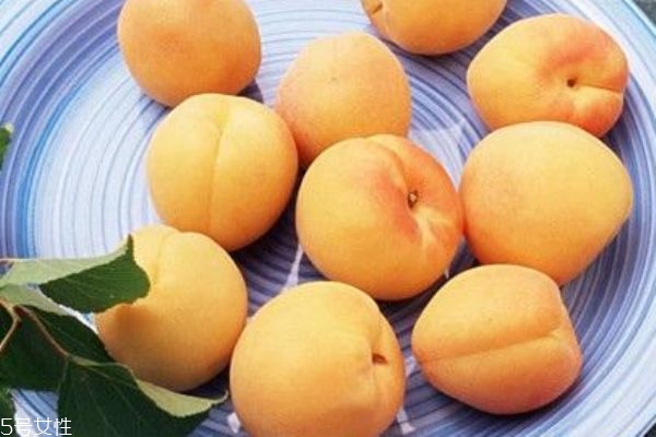 杏子吃多了會上火嗎 不宜多吃 杏子吃多了會上火嗎 不宜多吃